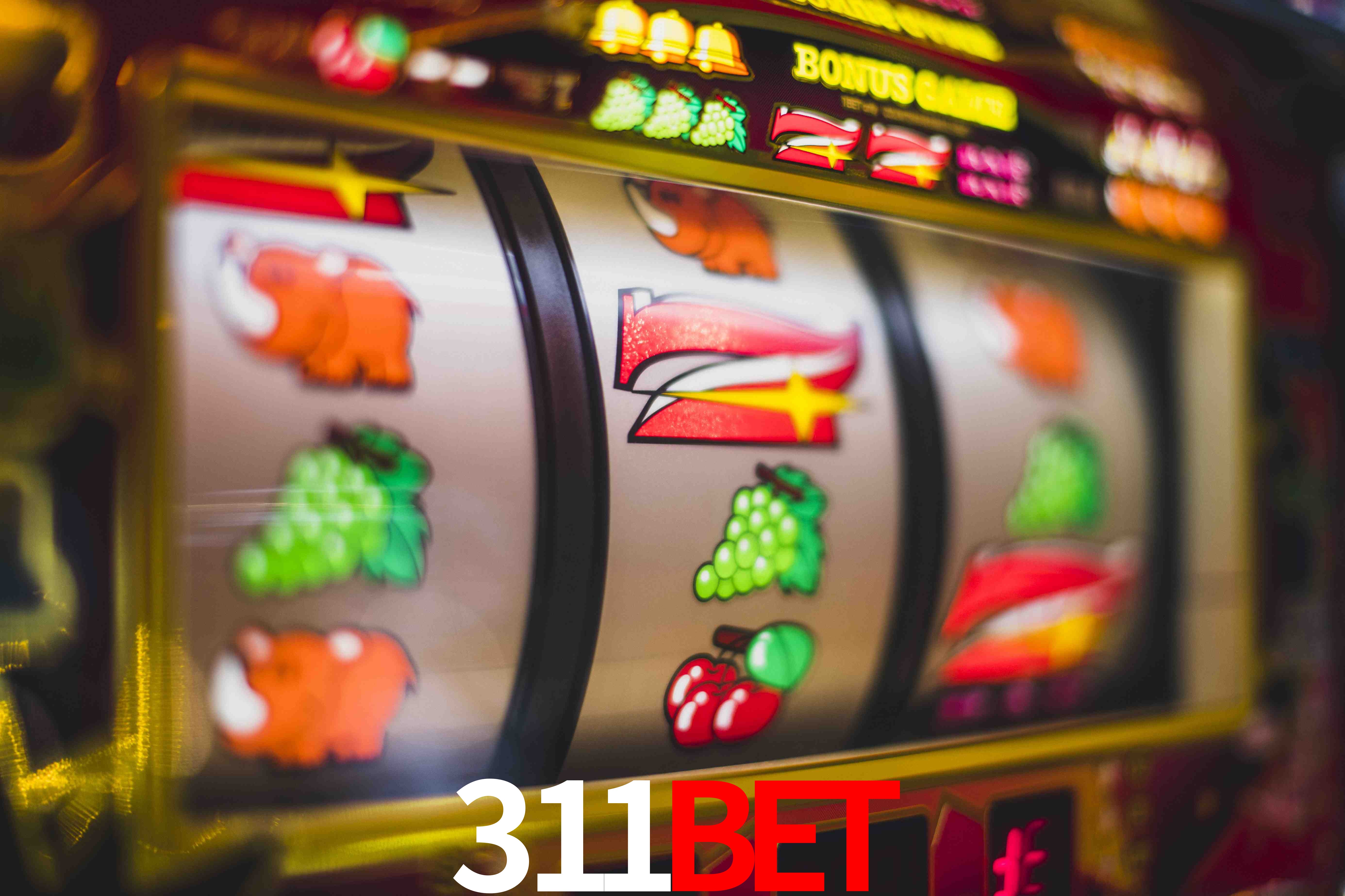 Tennis Betting 311bet