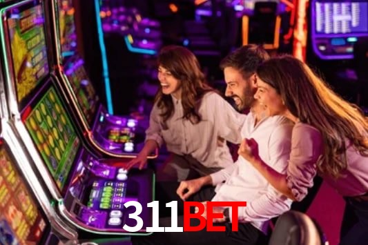 Interface Premium 311bet